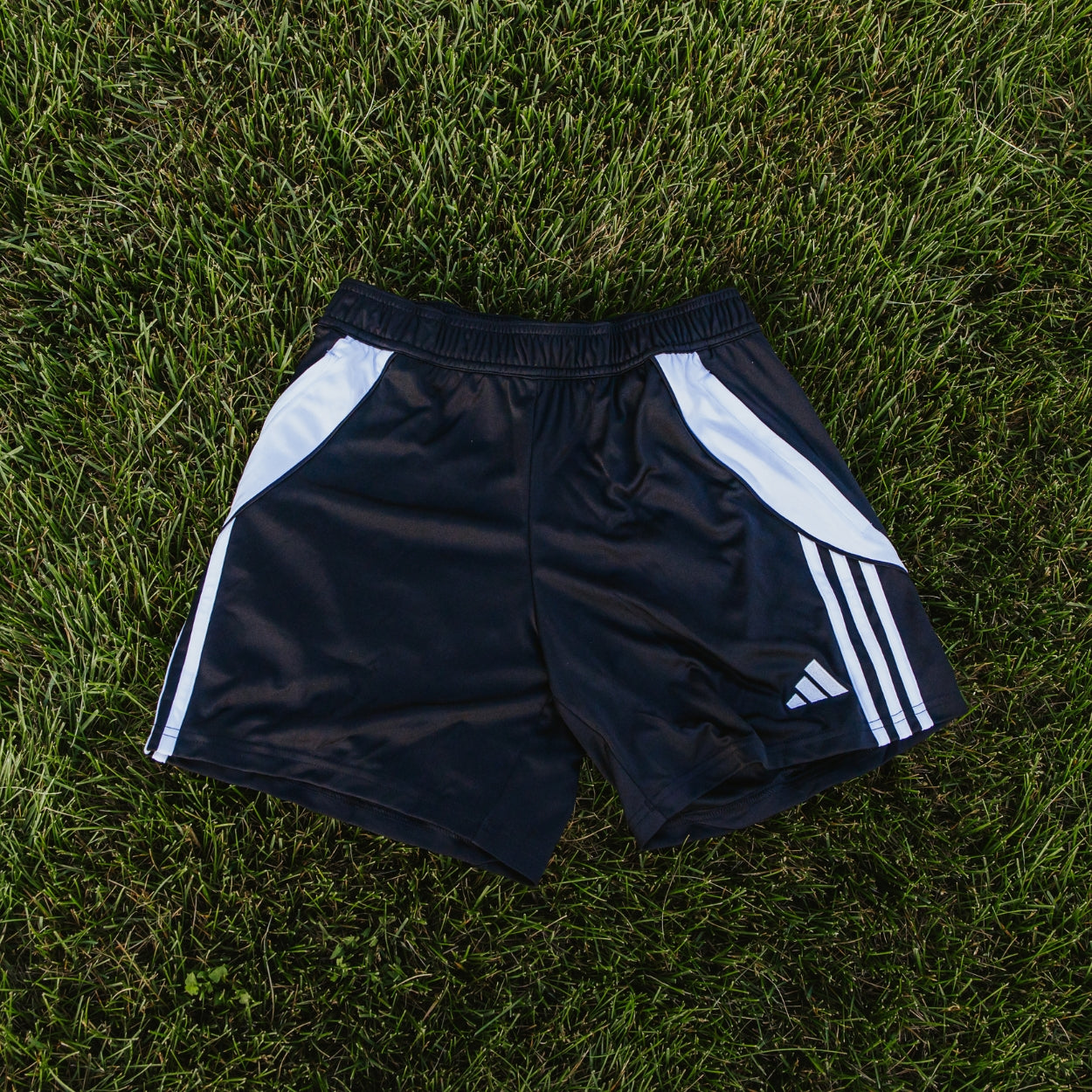 Adidas Tiro 24 Women's Training Short